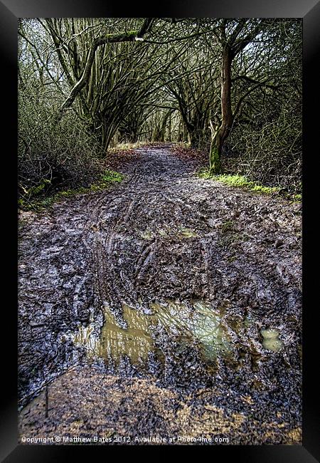 Muddy Path Framed Print by Matthew Bates