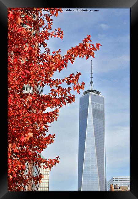  Freedom Tower Framed Print by Matthew Bates