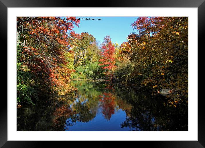  Central Park reflections Framed Mounted Print by Matthew Bates