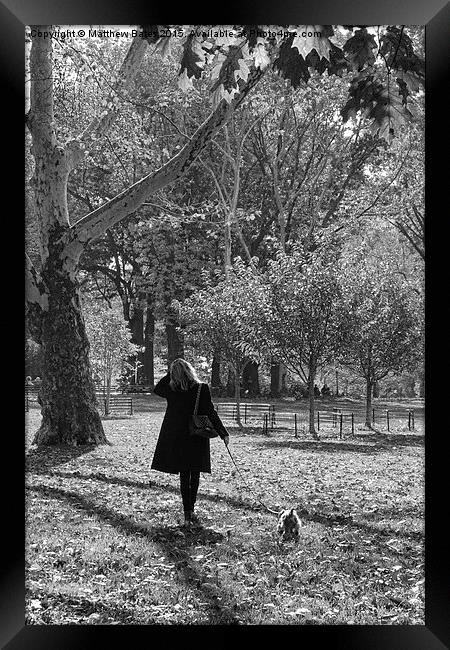 Dog walking Framed Print by Matthew Bates