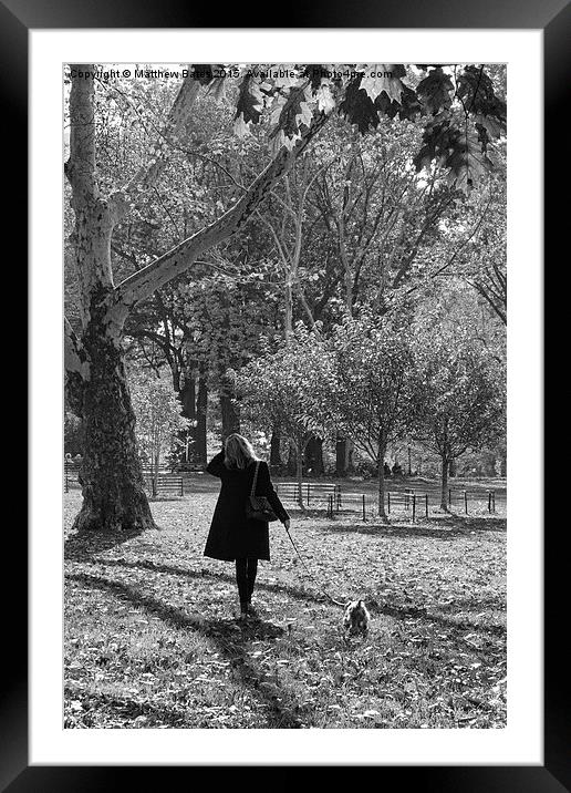 Dog walking Framed Mounted Print by Matthew Bates