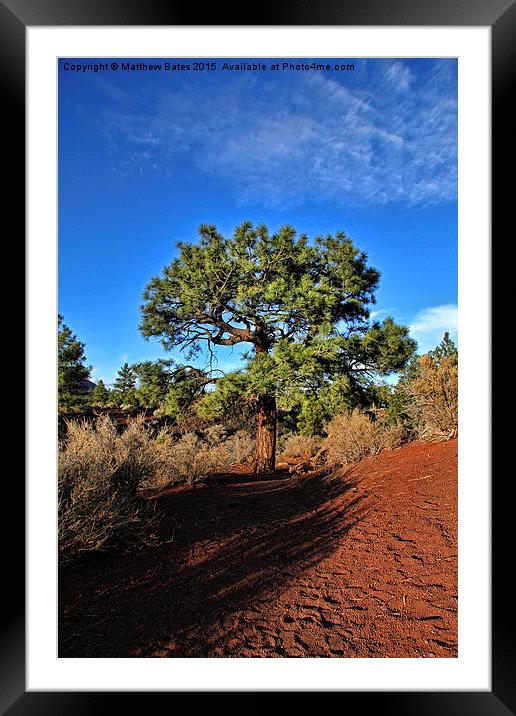 Sunset Crater Volcano National Monument Framed Mounted Print by Matthew Bates