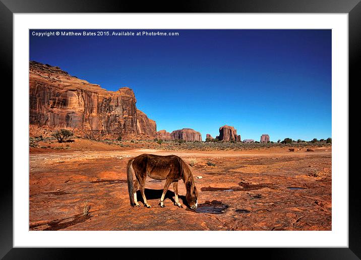 Monument Valley Horse Framed Mounted Print by Matthew Bates