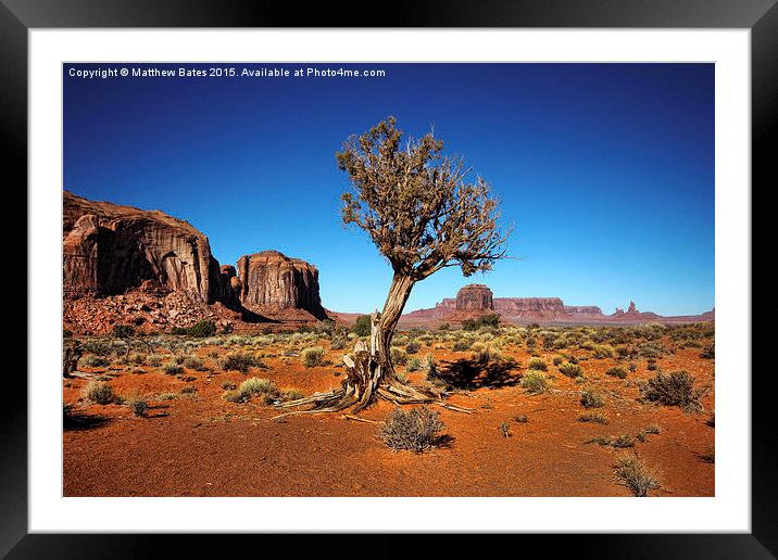  Monument Valley Tree Framed Mounted Print by Matthew Bates