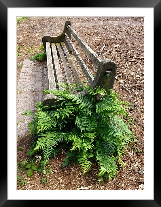 A bench at the Devil's Punch Bowl Framed Mounted Print by Lizzie Thomas
