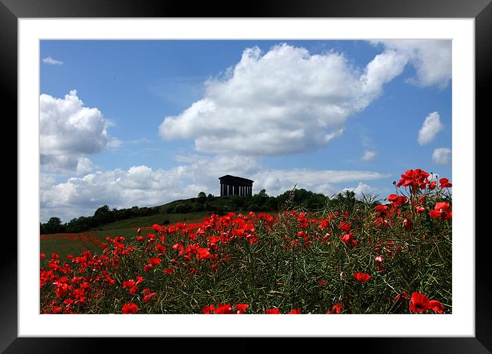 Penshaw Monument Framed Mounted Print by Ann Callaghan