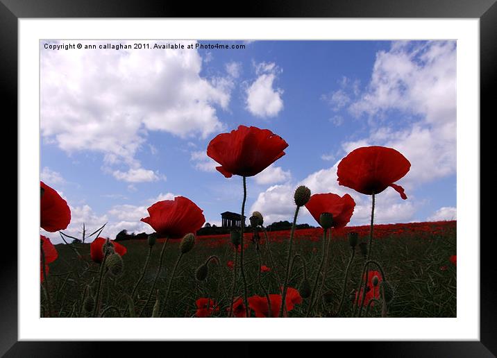 Poppys in the sky Framed Mounted Print by Ann Callaghan