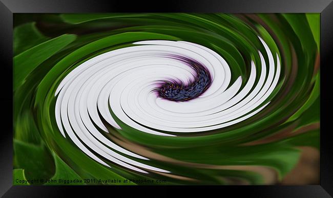 Floral Swirl Framed Print by John Biggadike