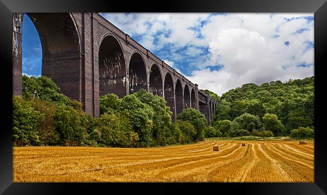 Conisbrough Viaduct Framed Print by John Biggadike
