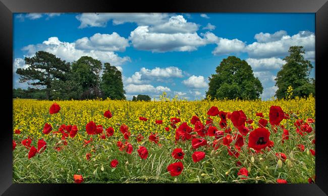 Poppy and rape field Framed Print by John Biggadike