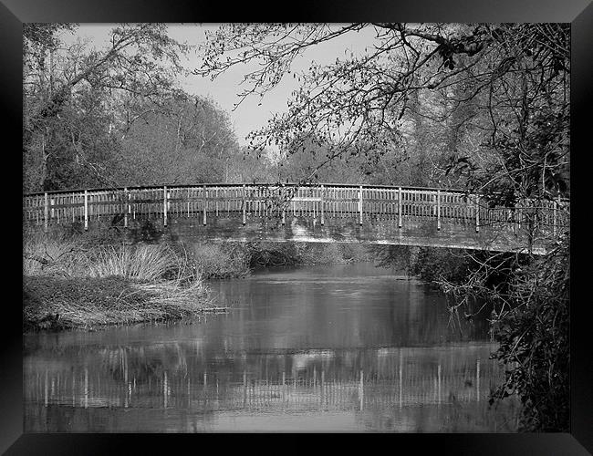 Bridge over troubled water Framed Print by Jules Camfield