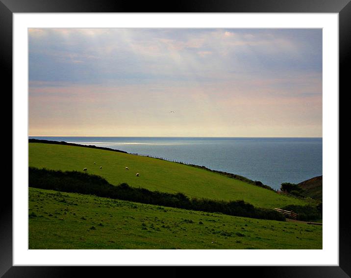 My Cornish Sea View Framed Mounted Print by Jules Camfield