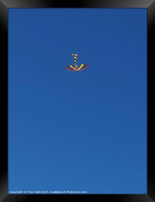 Kite Framed Print by Tom Hall