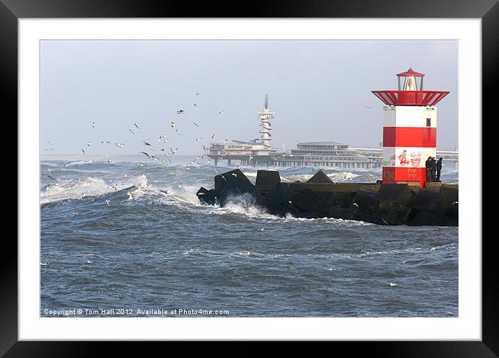 Dutch sea scen e Framed Mounted Print by Tom Hall