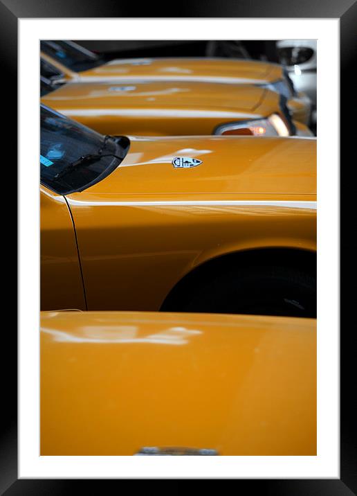 New York City: Yellow ants VI Framed Mounted Print by Tom Hall