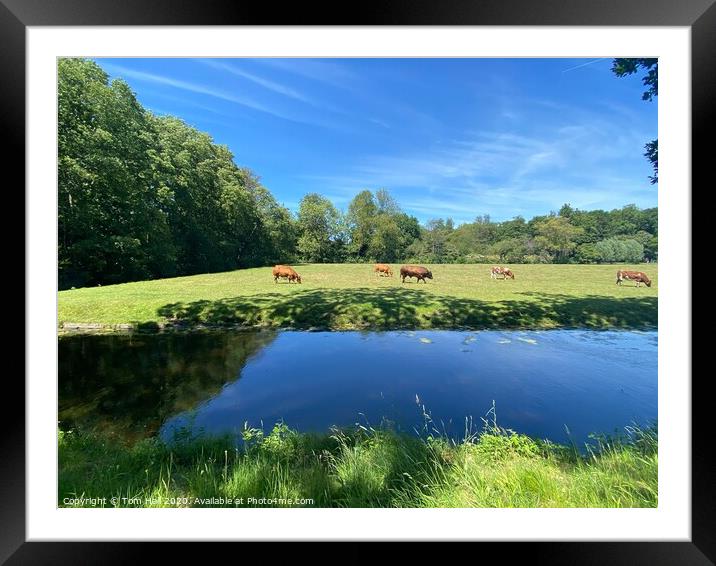 A walk in nature Framed Mounted Print by Tom Hall