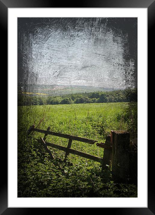 Broken Gate Yorkshire Framed Mounted Print by Dan Davidson