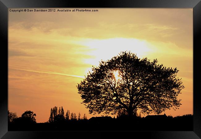 Tree Sunset Silhouette Framed Print by Dan Davidson