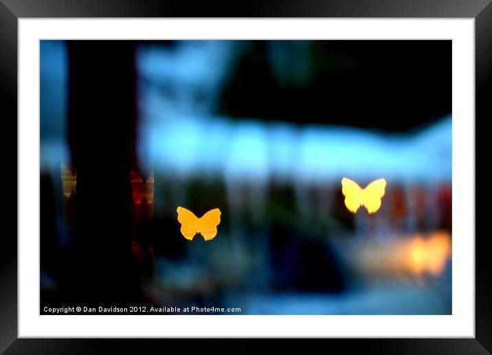 Butterfly bokeh at night Framed Mounted Print by Dan Davidson