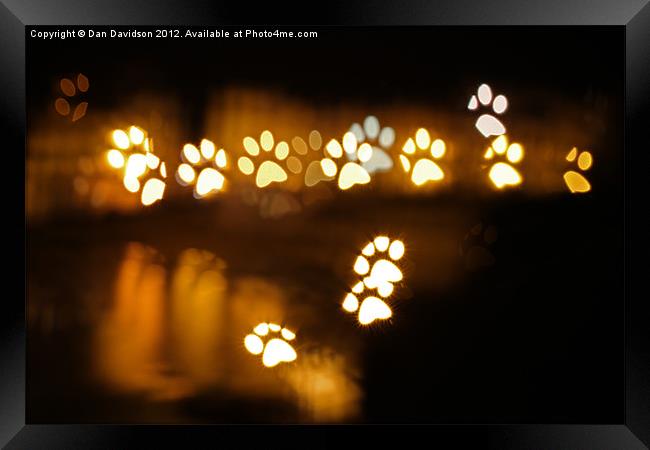 Paw effort bokeh Framed Print by Dan Davidson