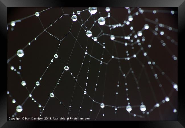 spider web bokeh Framed Print by Dan Davidson