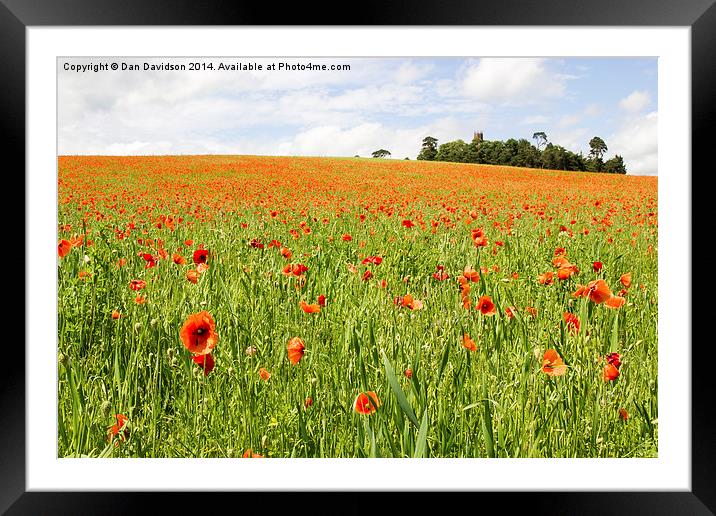 Poppies in England Framed Mounted Print by Dan Davidson