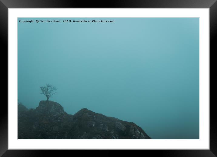 Idwal Tree Framed Mounted Print by Dan Davidson