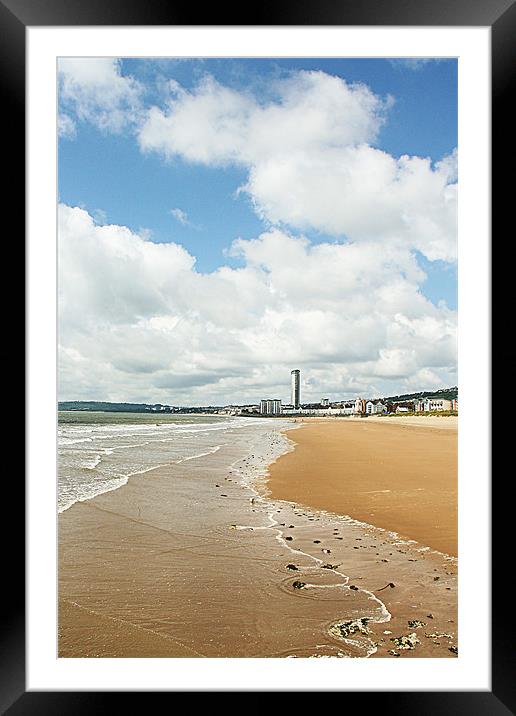 Swansea Beach at midday Framed Mounted Print by Dan Davidson