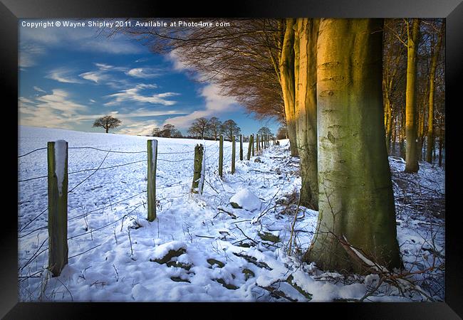 Snowfall Sunrise Framed Print by Wayne Shipley