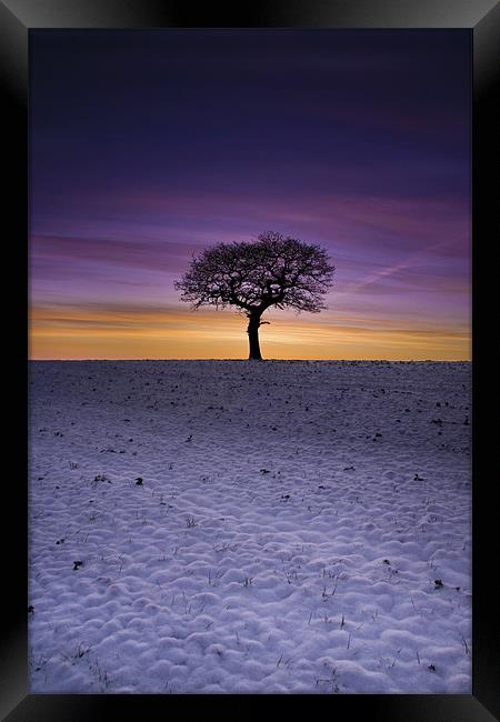 Winter's Isolation Framed Print by Wayne Shipley