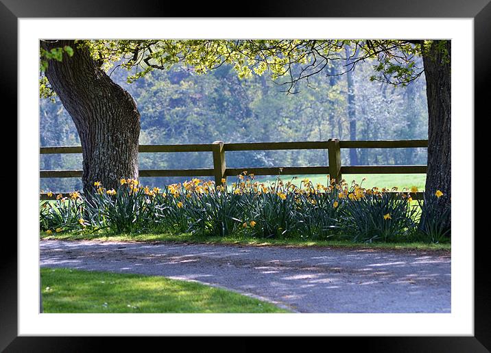 Spring in Hampshire Framed Mounted Print by Mike Houghton