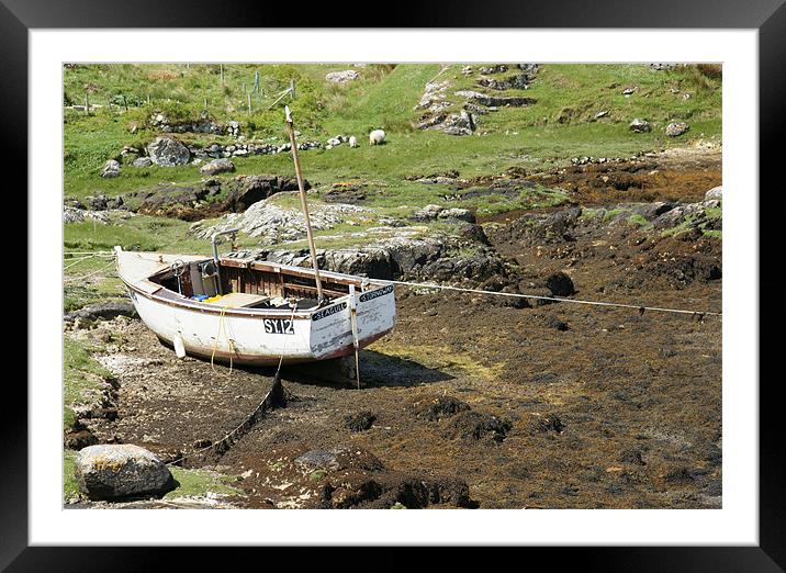 Beached at low tide Framed Mounted Print by Jenny Brogden