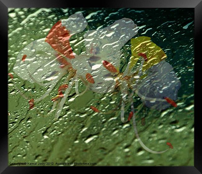 Its raining... Framed Print by Kamal Joshi