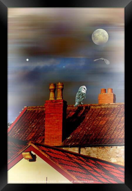 Rooftop Buddies Framed Print by Heather Goodwin