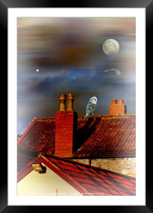 Rooftop Buddies Framed Mounted Print by Heather Goodwin