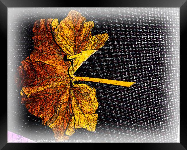 Leaf Fall Framed Print by Heather Goodwin