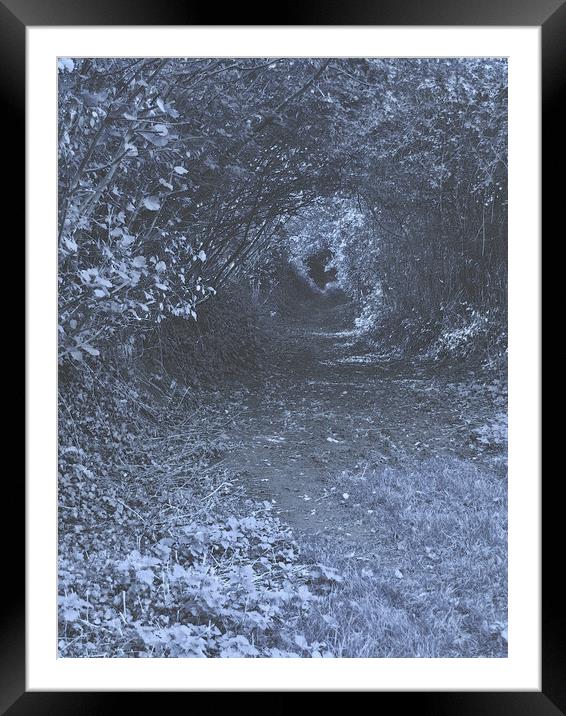 Dark Lane at Night. Framed Mounted Print by Heather Goodwin