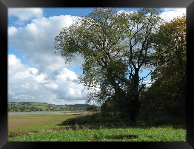 Blagdon Lakes Shoreline. Framed Print by Heather Goodwin