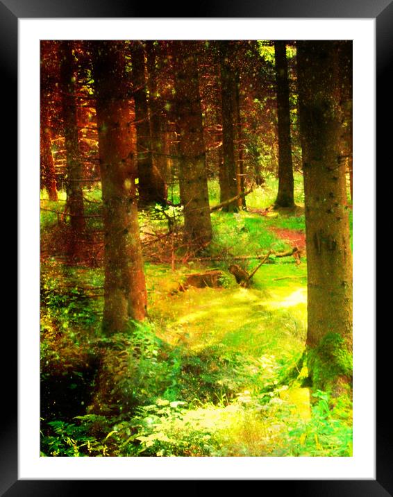 A Walk in the Woods. Framed Mounted Print by Heather Goodwin