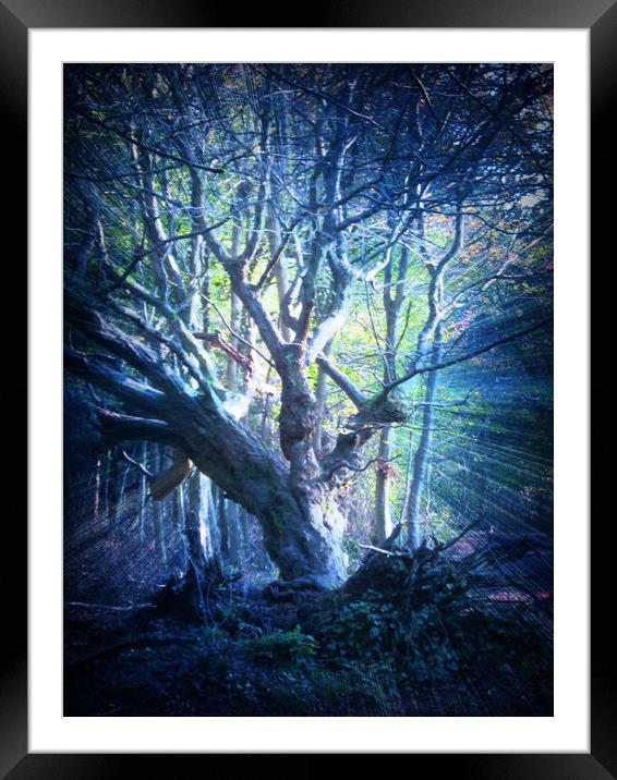Light Stricken Moody Blues. Framed Mounted Print by Heather Goodwin