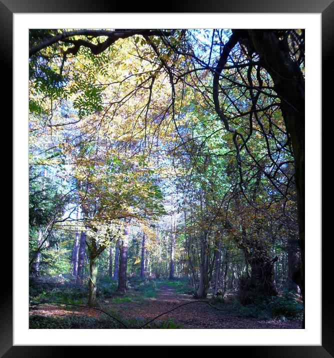 A Bright and Chilly Morning. Framed Mounted Print by Heather Goodwin