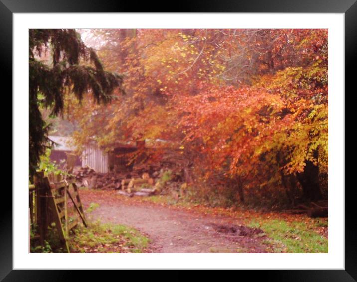 Path to Nearly Home. Framed Mounted Print by Heather Goodwin