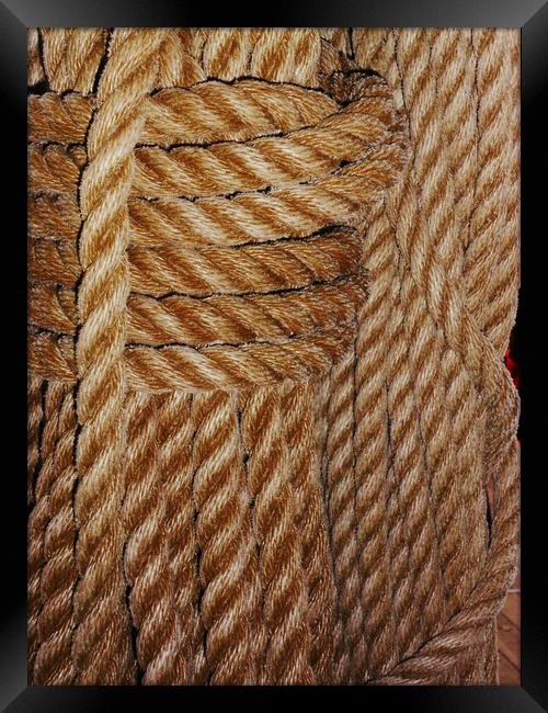 Old Rope. Framed Print by Heather Goodwin
