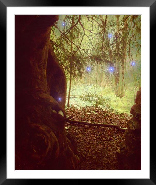 Ice - Star Woods. Framed Mounted Print by Heather Goodwin