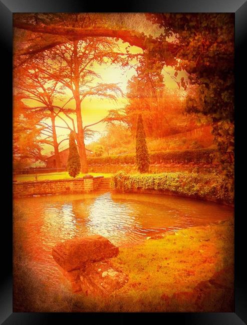 The Quiet Fish Pool. Framed Print by Heather Goodwin