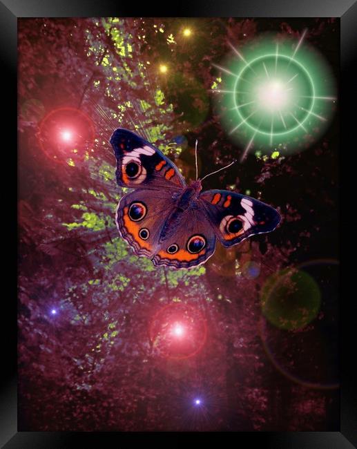 Butterfly Ball. Framed Print by Heather Goodwin