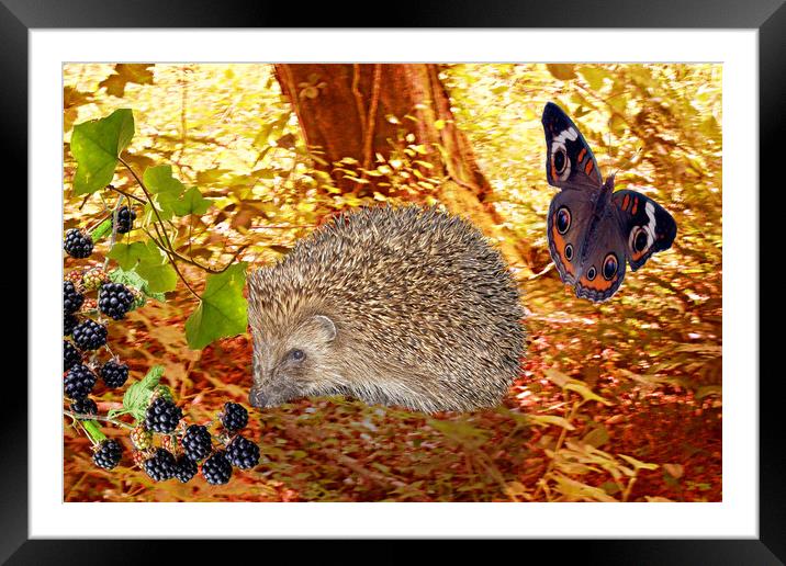 See you next year Pal! Framed Mounted Print by Heather Goodwin