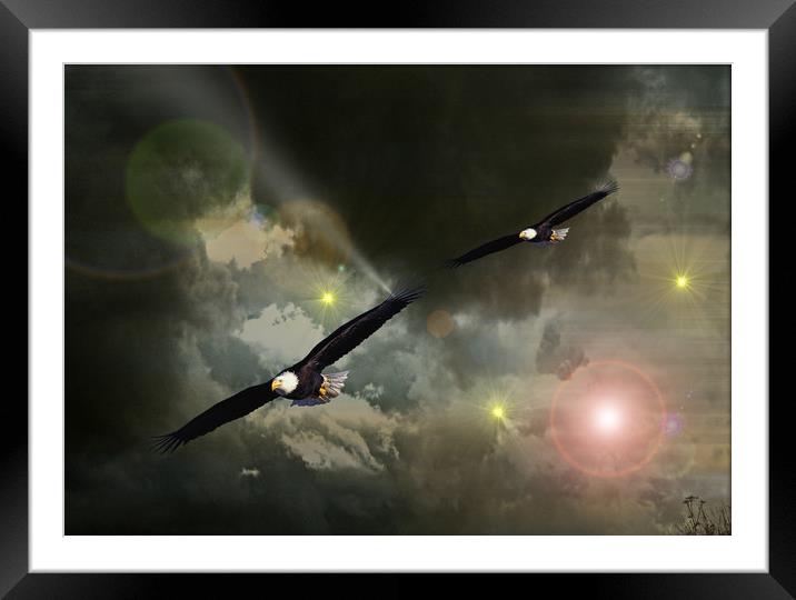 Flight of a Lifetime. Framed Mounted Print by Heather Goodwin