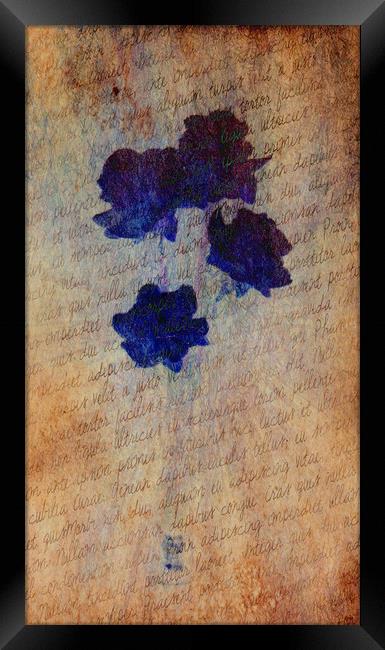 Petit Fleur en Bleu. Framed Print by Heather Goodwin