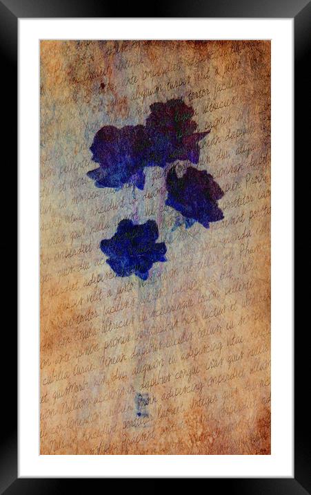 Petit Fleur en Bleu. Framed Mounted Print by Heather Goodwin